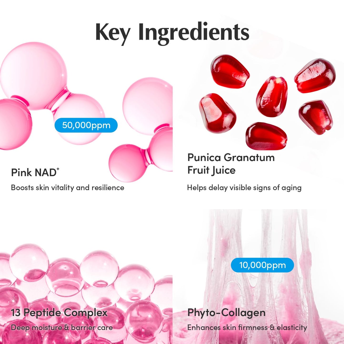 EQQUALBERRY NAD+ Peptide Boosting Cream – NAD+ 5% & 13 Peptides Anti-Aging Korean Skincare Face & Body Cream | Firming & Lifting Pink Neck Cream for Sagging Skin
