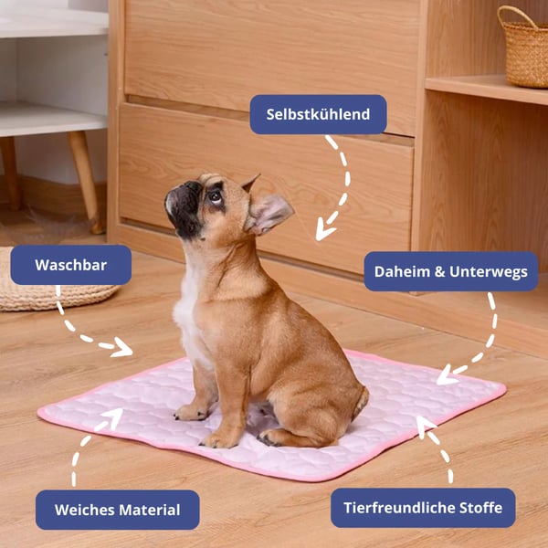 Summer Hot Sale 40% OFFPremium Cooling Mat For Pet