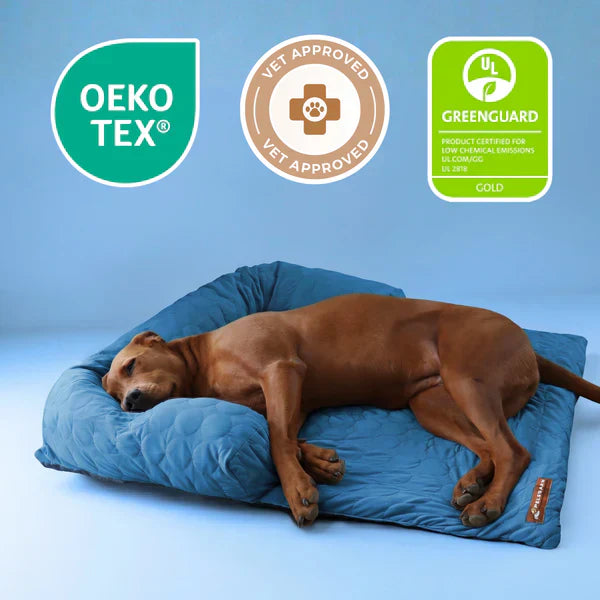 Cooling Dog Bed