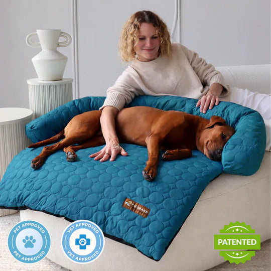 Cooling Dog Bed