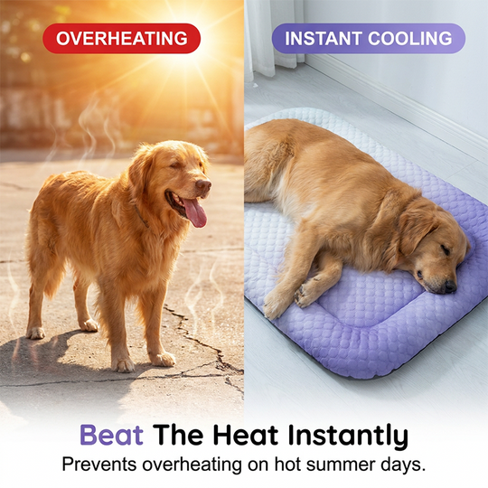 💖❄️Pet Cooling Mat for Dogs &amp; Cats 🐾 Naturally Cool Ice-Silk Pad • Breathable, Washable &amp; Soft 🐶🐱