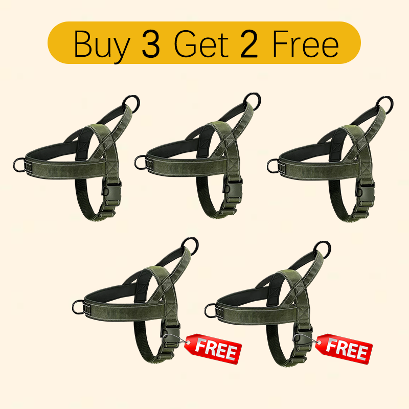 ✨Pawve™ No-Pull Dog Harness – Vet-Approved Comfort, Chafe-Free & Escape-Safe | Lightweight, Adjustable & Perfect for Every Walk🐕