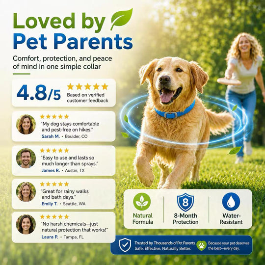 Skip the Chemicals!  Natural Essential Oil Flea Collar – Repels Bugs, Not Safe for Pup.