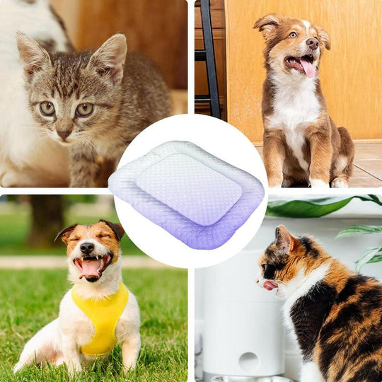 ❄️Pet Cooling Mat for Dogs &amp; Cats 🐾 Naturally Cool Ice-Silk Pad • Breathable, Washable &amp; Soft 🌿  For Floors, Sofas &amp; Car Travel • Multiple Sizes • Gradient Colours ☀️🐶🐱