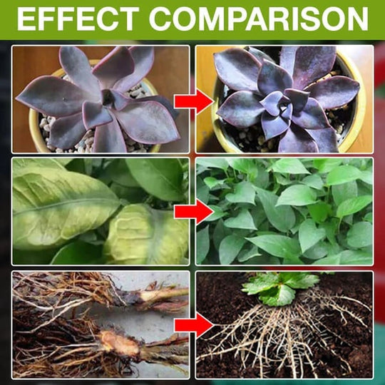 Plant Nutrient Solution