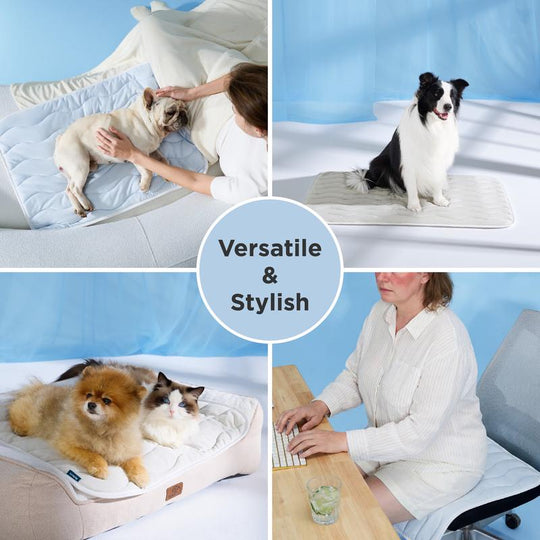 ❄️Summer Blowout! ❄️40% OFF 🧊PawDew™ for Dogs &amp; Cats – Vet-Approved Ice-Silk Cooling Pad ❄️ | Q-MAX >0.4 | Washable 🧼, Non-Slip 🛟 | Perfect for Large Breeds &amp; UK Summers ☀️🇬🇧