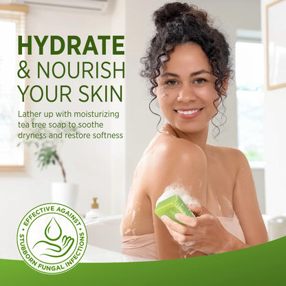 RoyceDerm Tea Tree Oil Antifungal Soap – Daily Gentle Cleansing & Antifungal Care