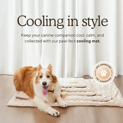 🧊Dog Cooling Mat (4x more effective)