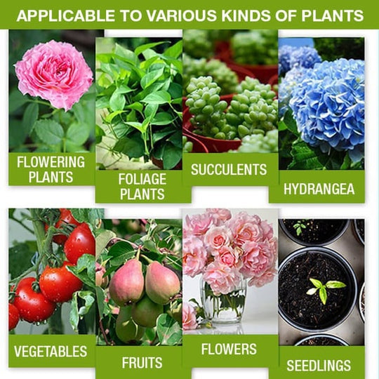 Plant Nutrient Solution