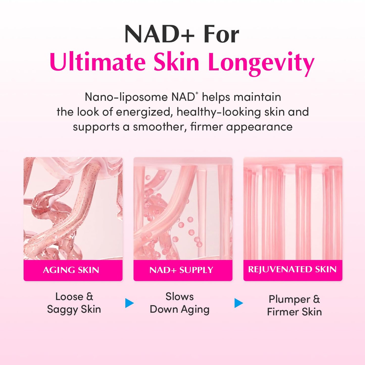 EQQUALBERRY NAD+ Peptide Boosting Cream – NAD+ 5% & 13 Peptides Anti-Aging Korean Skincare Face & Body Cream | Firming & Lifting Pink Neck Cream for Sagging Skin
