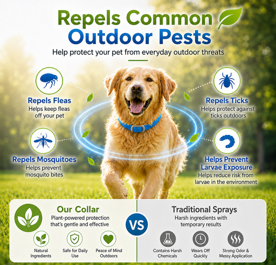 LIMITED TIME 50% OFF!🎁50K+ SOLD!🏆 Natural Essential Oil Pet Pest Repellent Collar - Adjustable Fit &amp; Lightweight