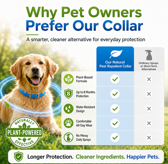 LIMITED TIME 50% OFF!🎁50K+ SOLD!🏆 Natural Essential Oil Pet Pest Repellent Collar - Adjustable Fit &amp; Lightweight