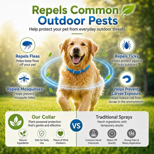 Skip the Chemicals!  Natural Essential Oil Flea Collar – Repels Bugs, Not Safe for Pup.