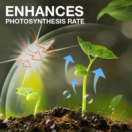 Plant Nutrient Solution