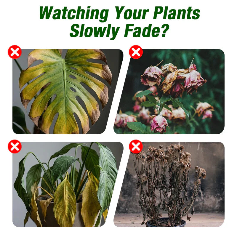 Plant Growth Liquid for Seedlings &amp; Cuttings