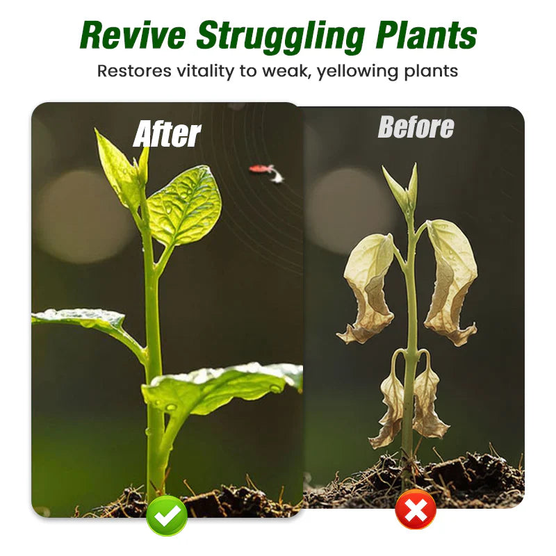 Plant Growth Liquid for Seedlings &amp; Cuttings