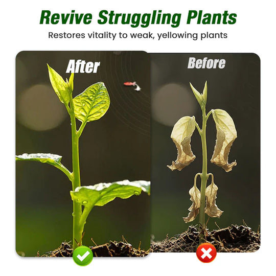 Plant Growth Liquid for Seedlings &amp; Cuttings