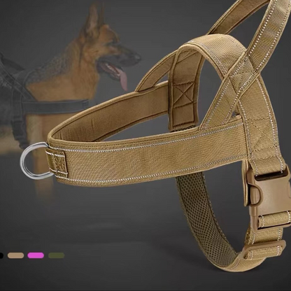 ✨Pawve™ No-Pull Dog Harness – Vet-Approved Comfort, Chafe-Free & Escape-Safe | Lightweight, Adjustable & Perfect for Every Walk🐕