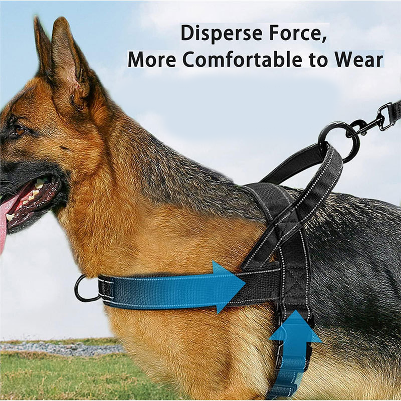 ✨Pawve™ No-Pull Dog Harness – Vet-Approved Comfort, Chafe-Free & Escape-Safe | Lightweight, Adjustable & Perfect for Every Walk🐕