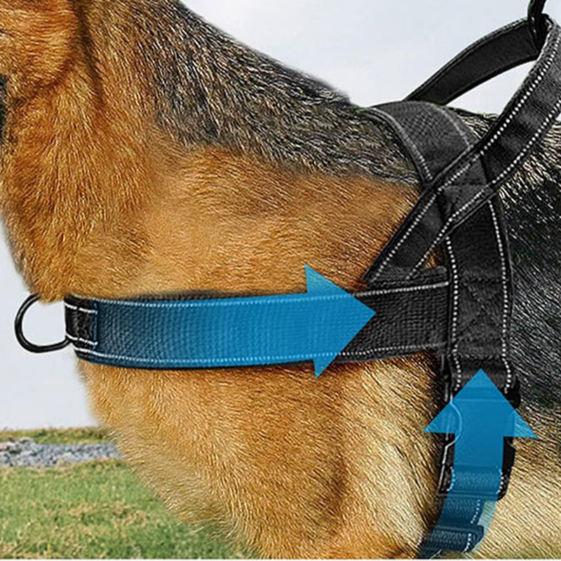 ✨Pawve™ No-Pull Dog Harness – Vet-Approved Comfort, Chafe-Free & Escape-Safe | Lightweight, Adjustable & Perfect for Every Walk🐕