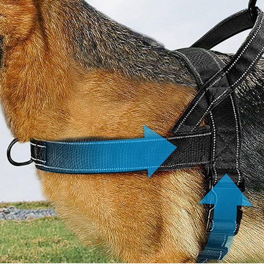 ✨Pawve™ No-Pull Dog Harness – Vet-Approved Comfort, Chafe-Free &amp; Escape-Safe | Lightweight, Adjustable &amp; Perfect for Every Walk🐕