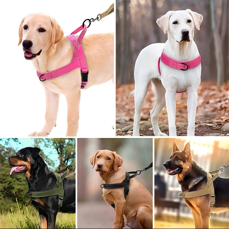 ✨Pawve™ No-Pull Dog Harness – Vet-Approved Comfort, Chafe-Free & Escape-Safe | Lightweight, Adjustable & Perfect for Every Walk🐕
