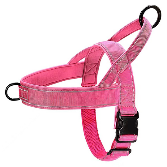 ✨Pawve™ No-Pull Dog Harness – Vet-Approved Comfort, Chafe-Free &amp; Escape-Safe | Lightweight, Adjustable &amp; Perfect for Every Walk🐕