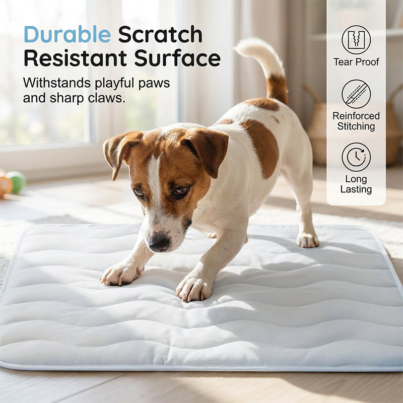❄️Summer Blowout! ❄️40% OFF 🧊PawDew™ for Dogs &amp; Cats – Vet-Approved Ice-Silk Cooling Pad ❄️ | Q-MAX >0.4 | Washable 🧼, Non-Slip 🛟 | Perfect for Large Breeds &amp; UK Summers ☀️🇬🇧