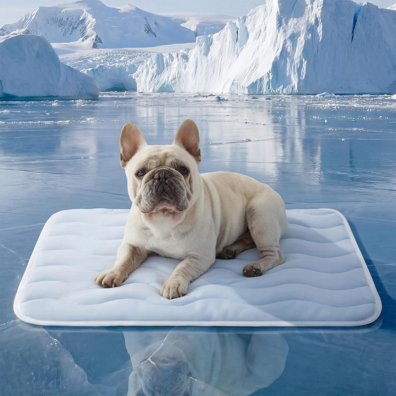 ❄️Summer Blowout! ❄️40% OFF 🧊PawDew™ for Dogs &amp; Cats – Vet-Approved Ice-Silk Cooling Pad ❄️ | Q-MAX >0.4 | Washable 🧼, Non-Slip 🛟 | Perfect for Large Breeds &amp; UK Summers ☀️🇬🇧