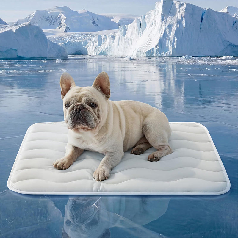 ❄️Summer Blowout! ❄️40% OFF 🧊PawDew™ for Dogs &amp; Cats – Vet-Approved Ice-Silk Cooling Pad ❄️ | Q-MAX >0.4 | Washable 🧼, Non-Slip 🛟 | Perfect for Large Breeds &amp; UK Summers ☀️🇬🇧