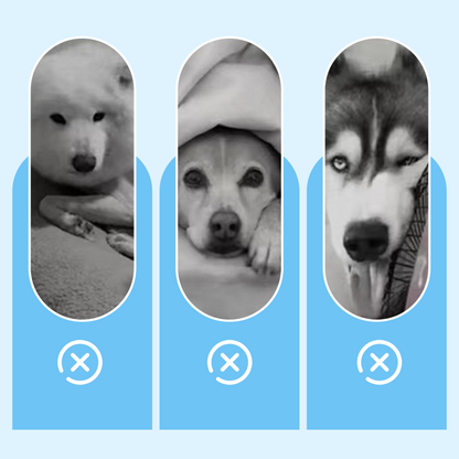 🧊Dog Cooling Mat (4x more effective)