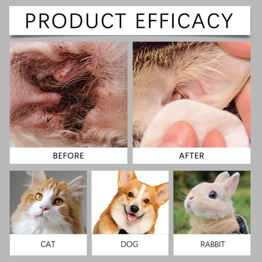 Pet Ear Pro Drops for Cats &amp; Dogs