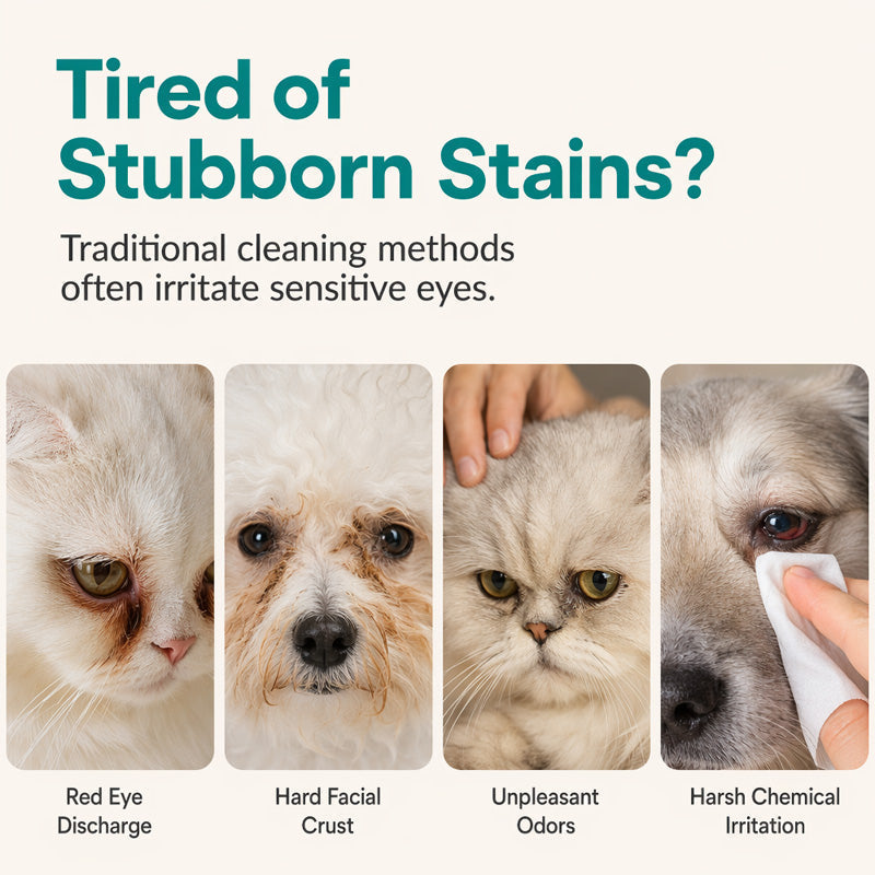 🏠 LIMITED-TIME 40% OFF! ✨ Gentle Pet Tear Stain Remover Wipes